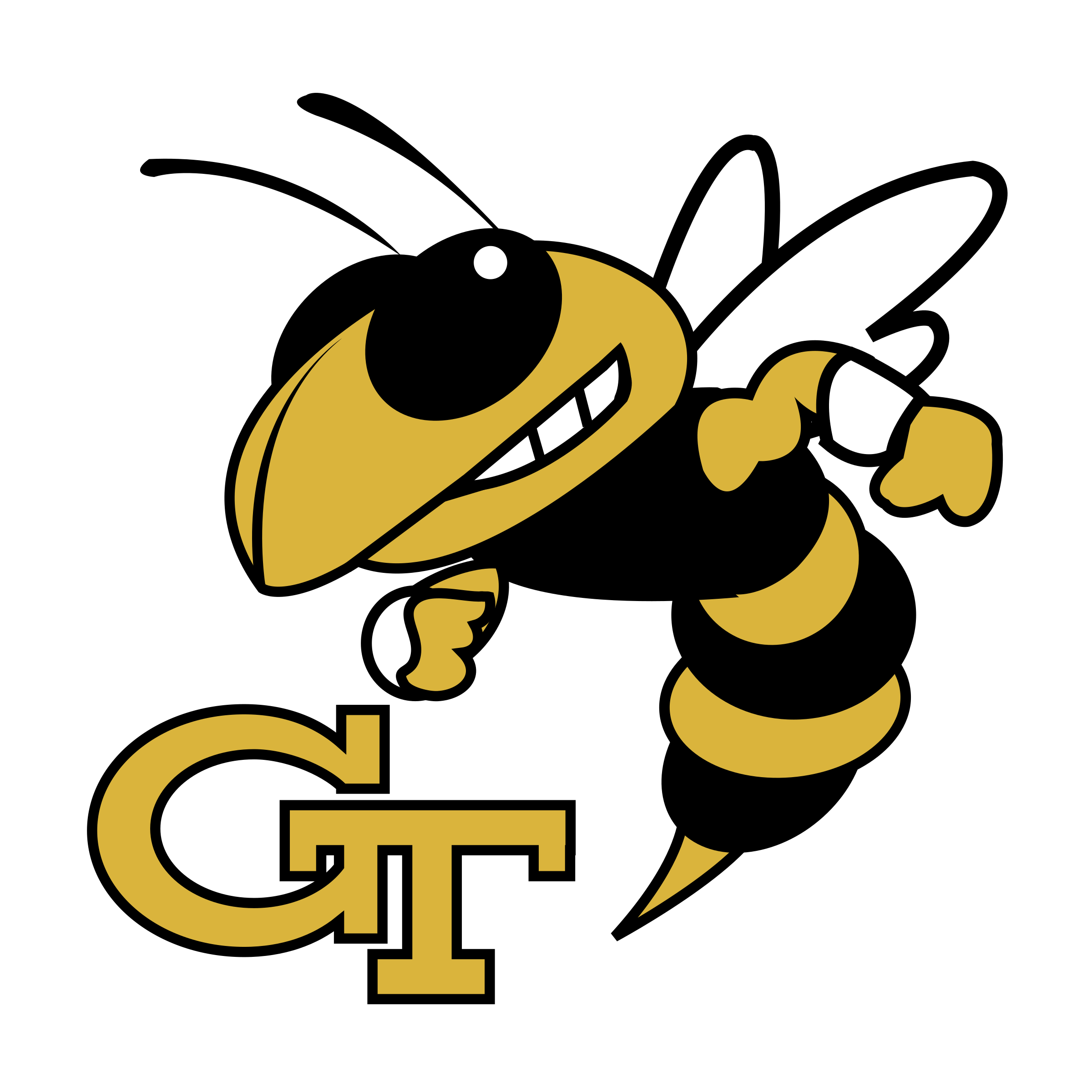 Georgia Tech